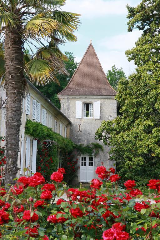 Chateau De Puyrigaud Léoville Exterior foto